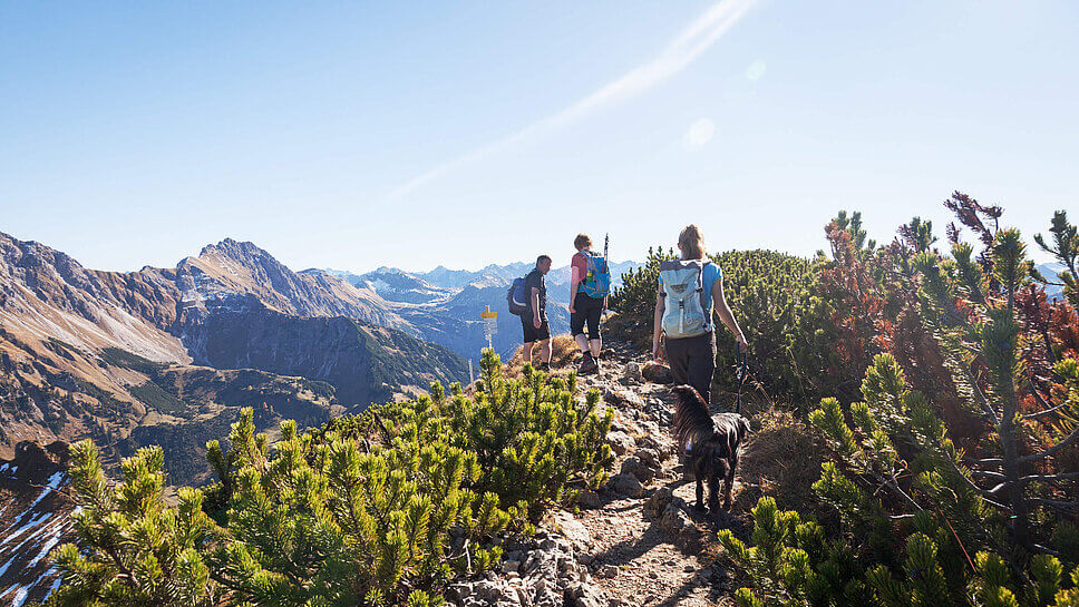 Drei Wander:innen mit Hund auf einem steinigen Bergkamm in den Allgäuer Alpen 