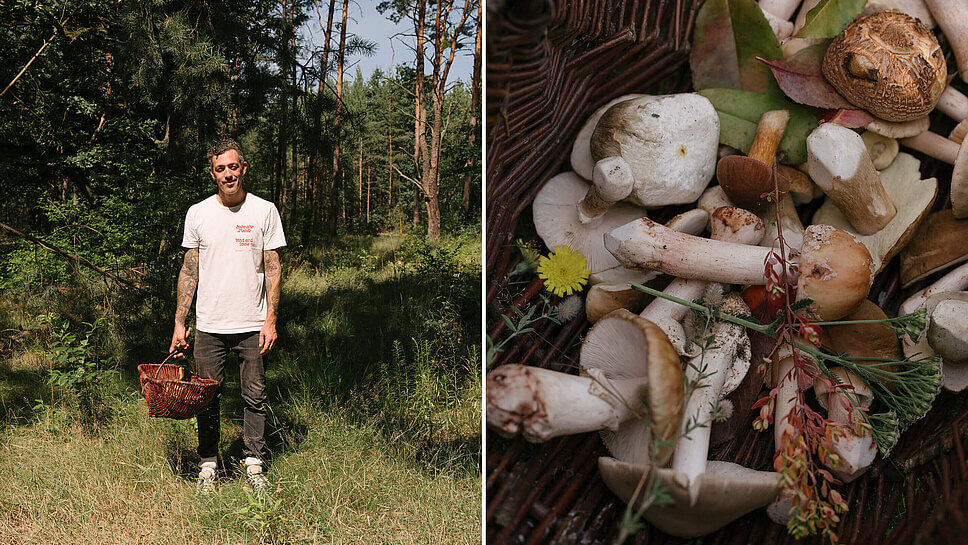 Mann steht mit Weidenkorb im Wald, von der Sonne beschienen. Auf dem Bild daneben: Nahaufnahme des Korbs mit gesammelten Pilzen